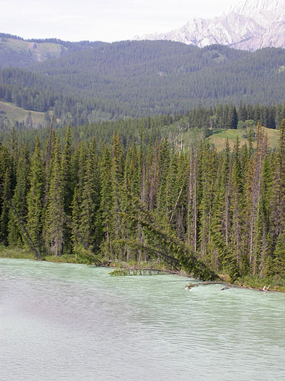 Banff-National-Park-Rocky-Mountains-Alberta-Canada-Kanada-DSCN9277.jpg