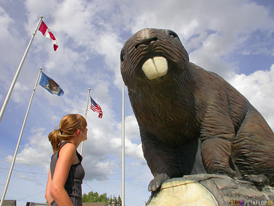 Beaver-Statue-Beaverlodge-British-Columbia-Canada-Kanada-DSCN9957.jpg