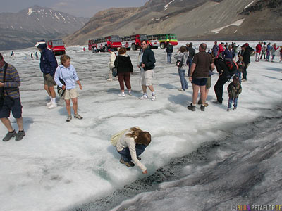 Brewster-Bus-Tour-Trip-on-Athabasca-Glacier-Gletscher-Columbia-Icefield-Jasper-National-Park-Rocky-Mountains-Alberta-Canada-Kanada-DSCN9544.jpg