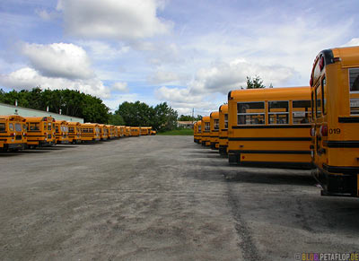 Cheese-Waggons-Schulbusse-School-Busses-Kenora-Ontario-Canada-Kanada-DSCN8374.jpg