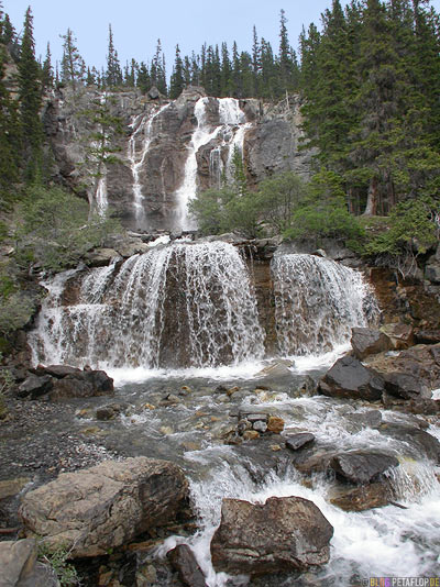 Falls-Wasserfall-Forest-Wald-Woods-Trees-Rocks-Jasper-National-Park-Rocky-Mountains-Alberta-Canada-Kanada-DSCN9604.jpg