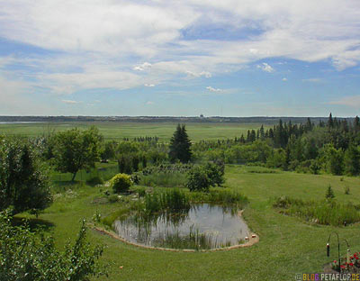 Garden-Garten-St-Saint-Albert-Alberta-Canada-Kanada-DSCN9933.jpg