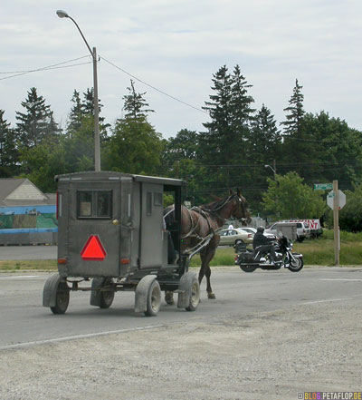 Germans-Deutsche-Mennonites-Mennoniten-carriage-Kutsche-Ontario-Canada-Kanada-DSCN7853.jpg