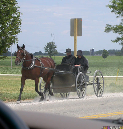 Germans-Deutsche-Mennonites-Mennoniten-carriage-Kutsche-Ontario-Canada-Kanada-DSCN7864.jpg