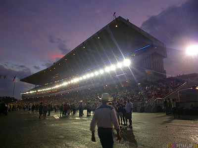 Grand-Stand-Chuckwagon-Race-Calgary-Stampede-2007-Alberta-Canada-Kanada-DSCN9205.jpg