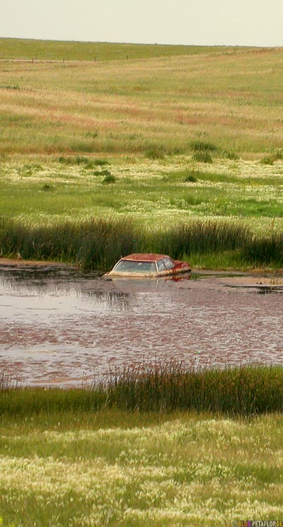 immersed-sunk-car-wreck-in-a-pond-lake-halb-versunkenes-Autowrack-in-einem-Teich-See-Carmichael-Saskatchewan-Canada-Kanada-DSCN8891.jpg