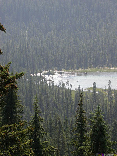 Lake-in-Banff-National-Park-See-Rocky-Mountains-Alberta-Canada-Kanada-DSCN9402.jpg