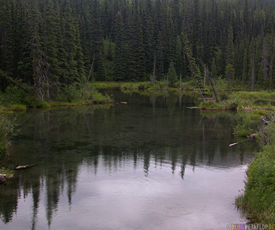 Lake-See-Northern-Rocky-Mountains-Alaska-Highway-British-Columbia-Canada-Kanada-DSCN0157.jpg