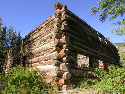 Montague-Roadhouse-Holzhaus-Ruin-Blockhaus-Ruine-Klondike-Highway-Yukon-Canada-Kanada-DSCN0537.jpg