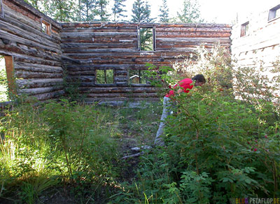 Montague-Roadhouse-Holzhaus-Ruin-Blockhaus-Ruine-Klondike-Highway-Yukon-Canada-Kanada-DSCN0550.jpg