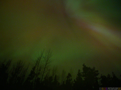 Northern-Light-Aurora-Borealis-Nordlicht-Northern-Lights-Center-Projection-Alaska-Highway-Watson-Lake-Yukon-Canada-Kanada-DSCN0417.jpg