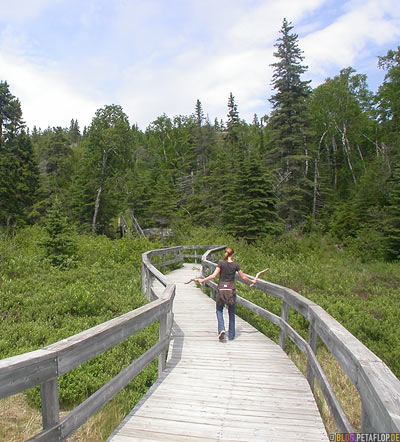 Pukaskwa-National-Park-Ontario-Canada-Kanada-DSCN8223.jpg