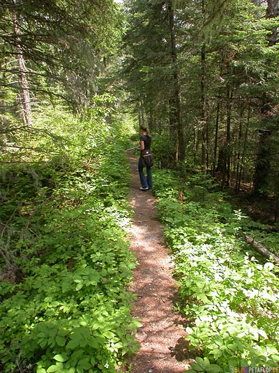 Pukaskwa-National-Park-Ontario-Canada-Kanada-DSCN8232.jpg