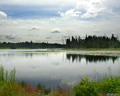 Rest-Area-Rastplatz-Trans-Canada-Highway-Ontario-Kanada-DSCN8310.jpg