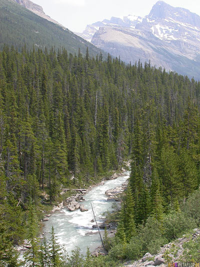 River-Fluss-Jasper-National-Park-Rocky-Mountains-Alberta-Canada-Kanada-DSCN9485.jpg