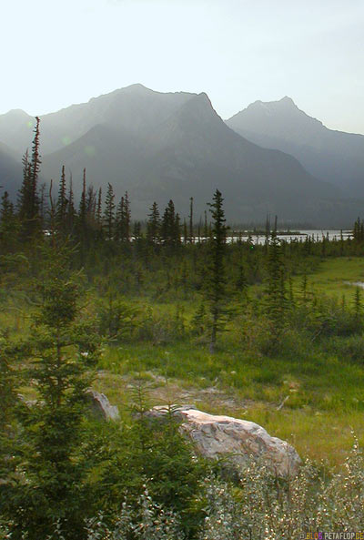 Rocky-Mountains-Jasper-National-Park-Alberta-Canada-Kanada-DSCN9683.jpg