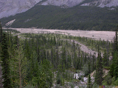 Valley-Tal-Northern-Rocky-Mountains-Alaska-Highway-British-Columbia-Canada-Kanada-DSCN0137.jpg