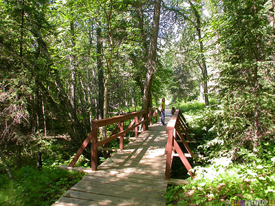 Way-to-Liard-River-Hot-Springs-Heisse-Quellen--Alaska-Highway-BC-British-Columbia-Canada-Kanada-DSCN0324.jpg