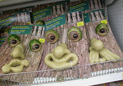 Woodland-Expressions-Faces-for-Trees-eyes-mouth-Baumgesichter-Winnipeg-Manitoba-Canada-Kanada-DSCN8499.jpg