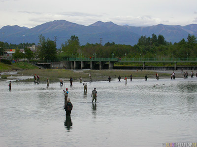 Angler-Sports-Fisher-Salmon-Lachs-Ship-Creek-Anchorage-Alaska-USA-DSCN1400.jpg