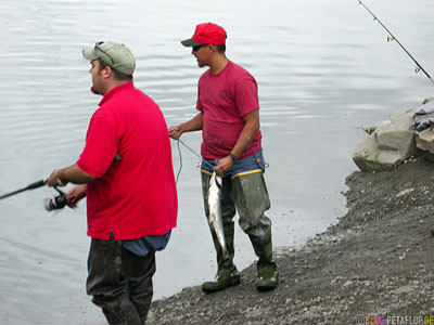 Angler-Sports-Fisher-Salmon-Lachs-Ship-Creek-Anchorage-Alaska-USA-DSCN1401.jpg