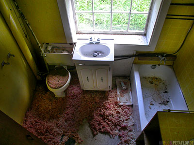 bathroom-Badezimmer-abandoned-house-verlassenes-Haus-Ghost-town-Geisterstadt-Cassiar-British-Columbia-BC-Canada-Kanada-DSCN2356.jpg