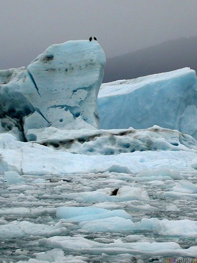 Columbia-Glacier-Gletscher-Icebergs-Eisberge-Eisschollen-Stan-Stephens-Glacier-Cruise-Prince-William-Sound-Valdez-Alaska-USA-DSCN1774.jpg