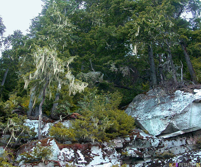 Felswand-road-from-Stewart-to-Hyder-British-Columbia-BC-Canada-Kanada-DSCN2518.jpg