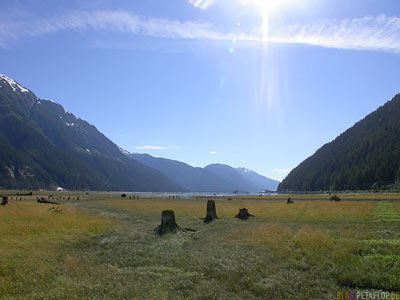 from-Holzsteg-Wooden-Walk-into-Portland-Canal-Floodlands-Suempfe-Sumpf-Stewart-BC-British-Columbia-Canada-kanada-DSCN2532.jpg