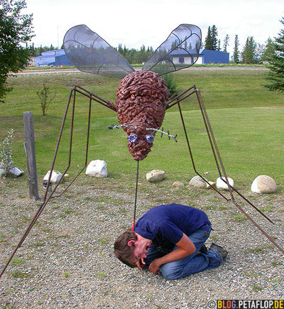 Giant-Mosquito-bites-Riesenmoskito-Riesenmuecke-End-of-Alaska-Highway-Mile-1422-Delta-Junction-Alaska-USA-DSCN0969.jpg