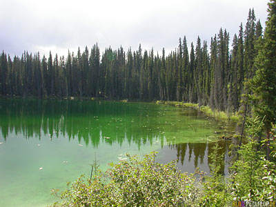 Green-Lake-near-blue-river-gru?ner-See-Cassiar-Highway-British-Columbia-BC-Canada-Kanada-DSCN2310.jpg