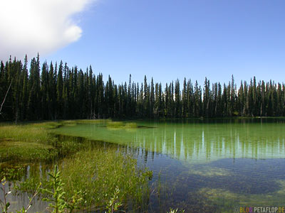 Green-Lake-near-blue-river-gru?ner-See-Cassiar-Highway-British-Columbia-BC-Canada-Kanada-DSCN2299.jpg