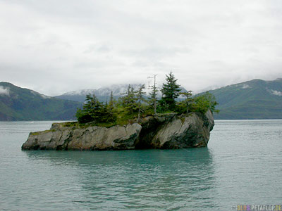 Island-Insel-Stan-Stephens-Glacier-Cruise-Prince-William-Sound-Valdez-Alaska-USA-DSCN1814.jpg