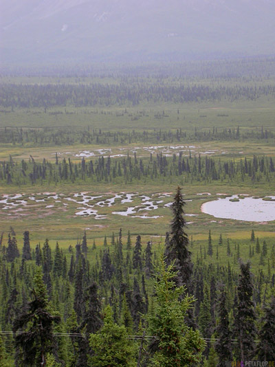 Matanuska-Lakes-Seen-Valley-Tal-Glenn-Highway-Alaska-USA-DSCN1524.jpg