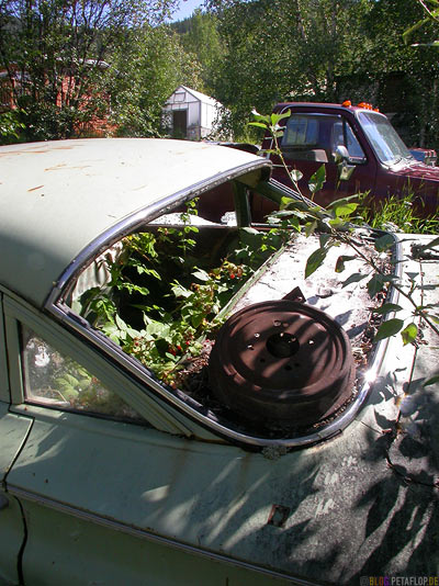 Old Car Cadillac