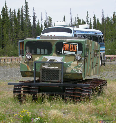 old-snow-mobile-for-sale-Schneemobil-camo-camouflage-Tarnmuster-Glenn-Highway-Alaska-USA-DSCN1525.jpg