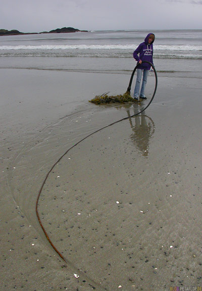 Pacific-Rim-National-Park-near-Tofino-Beach-Sand-Strand-Vancouver-Island-BC-British-Columbia-Canada-Kanada-DSCN3133.jpg