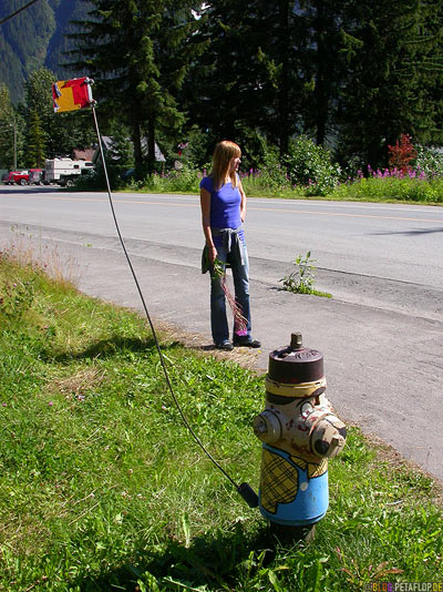 painted-angemalter-Hydrant-Stewart-BC-British-Columbia-Canada-kanada-DSCN2548.jpg