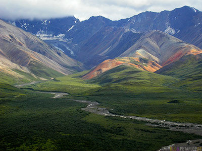 Polychrome-Overlook-Mountains-Berge-Range-Denali-National-Park-Nationalpark-Fish-Creek-Shuttle-Bus-Alaska-USA-DSCN1232.jpg