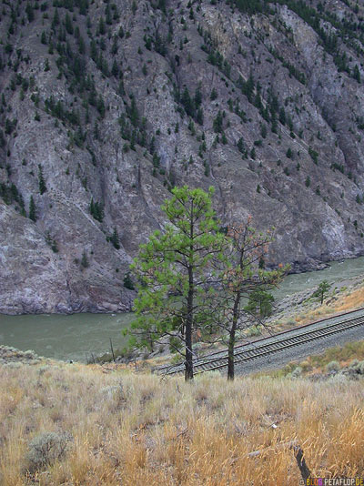 Railway-Fraser-River-Valley-BC-British-Columbia-Canada-Kanada-DSCN2832.jpg