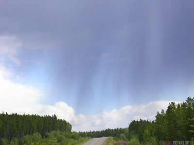 Rainfall-Regenschauer-Alaska-Highway-Yukon-Canada-Kanada-DSCN2292.jpg