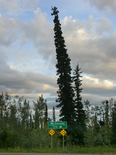 Road-Sign-Canada-Tok-Taylor-Highway-Alaska-USA-DSCN0944.jpg