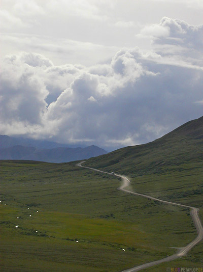 Road-through-Denali-National-Park-Nationalpark-Fish-Creek-Shuttle-Bus-Alaska-USA-DSCN1180.jpg