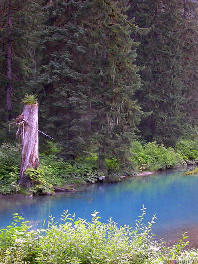 Scenery-blue-water-Fish-Creek-Wildlife-Observation-Site-Hyder-Alaska-USA-DSCN2467.jpg