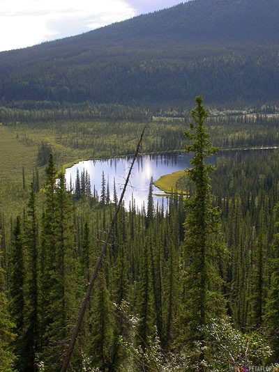 Scenery-Landschaft-River-Fluss-Taylor-Highway-Alaska-USA-DSCN0887.jpg