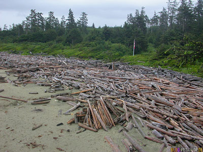 Sea-Logs-Strandgut-Sand-Strand-Treibgut-Pacific-Rim-National-Park-near-Tofino-Beach-Vancouver-Island-BC-British-Columbia-Canada-Kanada-DSCN3105.jpg