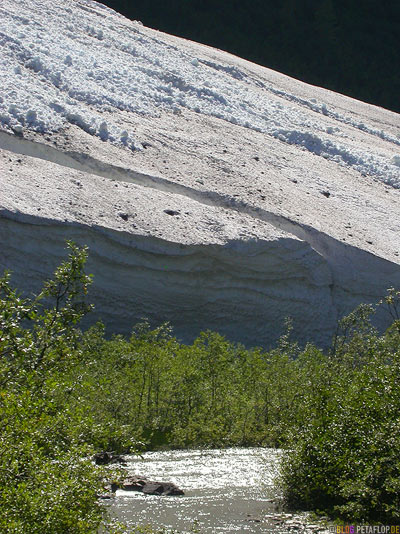 Snow-field-near-Schneefeld-Bear-Glacier-Gletscher-Highway-37a-Stewart-BC-British-Columbia-Canada-Kanada-DSCN2570.jpg