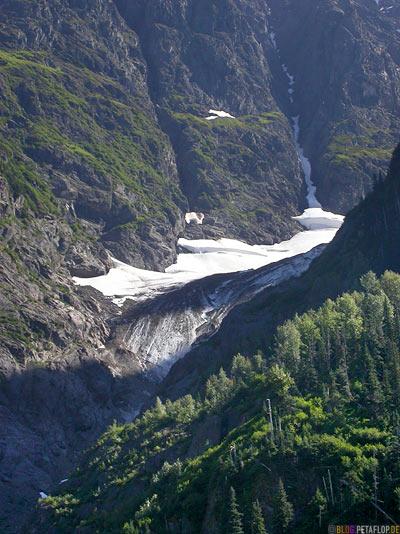 Snow-field-near-Schneefeld-Bear-Glacier-Gletscher-Highway-37a-Stewart-BC-British-Columbia-Canada-Kanada-DSCN2577.jpg