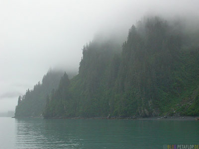 Stan-Stephens-Glacier-Cruise-Prince-William-Sound-Valdez-Alaska-USA-DSCN1576.jpg