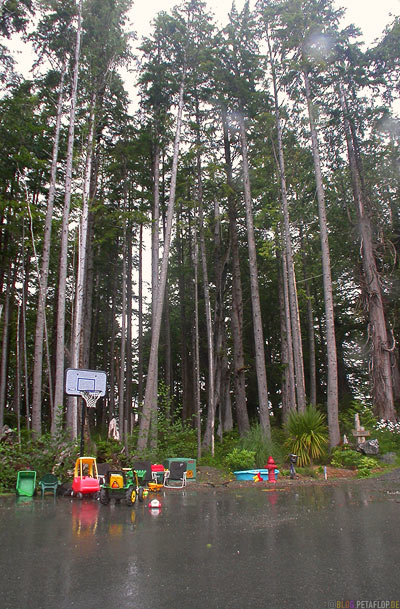 Toys-Frontyard-Tofino-Vancouver-Island-BC-British-Columbia-Canada-Kanada-DSCN3192.jpg